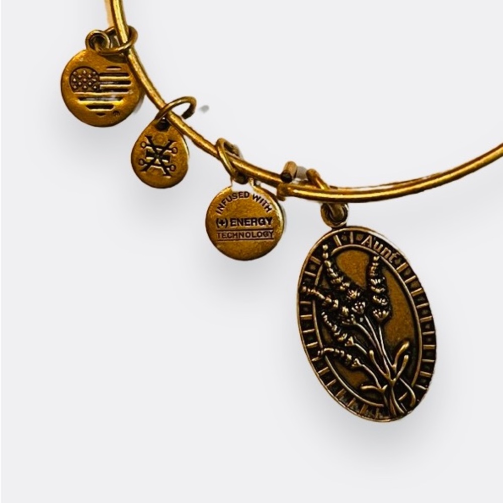 Alex and Ani Aunt in Bronze